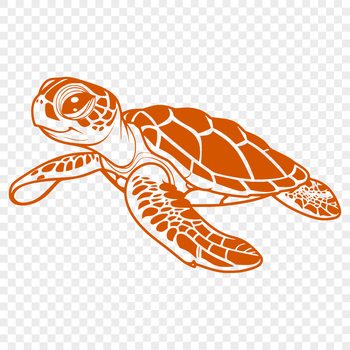 A detailed illustration of a sea turtle in its entirety, showcasing its distinctive shell and flippers.