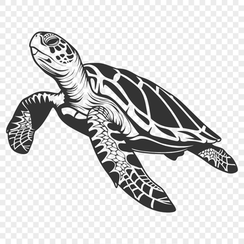 A full body illustration of a sea turtle swimming in the ocean.