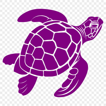 A detailed illustration of a sea turtle in full body pose, suitable for vector design and clip art.
