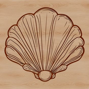An outline of a seashell in a digital design style suitable for cut-out projects or graphics.