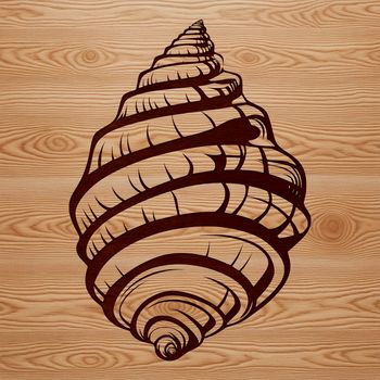 An editable graphic of a seashell, designed as clip art for digital crafts and DIY applications.