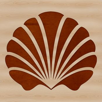A stylized illustration of a seashell with intricate details, suitable for vector art projects.