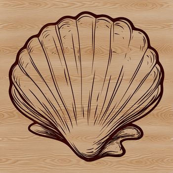 Seashell illustration in vector format for design projects and creative endeavors.