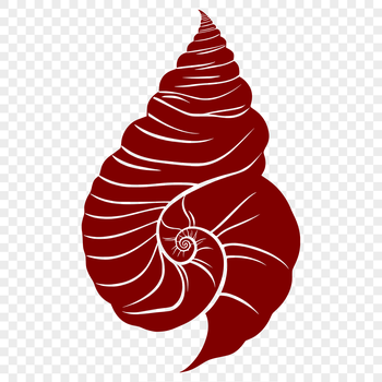An ornate seashell graphic, ideal for use in digital design applications such as Procreate or Illustrator.