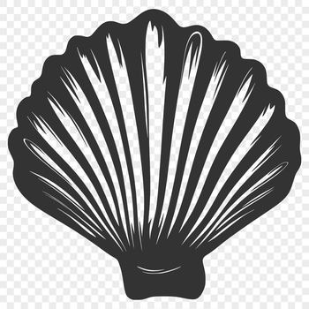 A stylized vector illustration of a seashell in various shapes and designs.