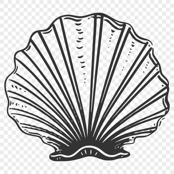Seaside collectible seashell with intricate details, suitable for vector art and cutting machine designs.