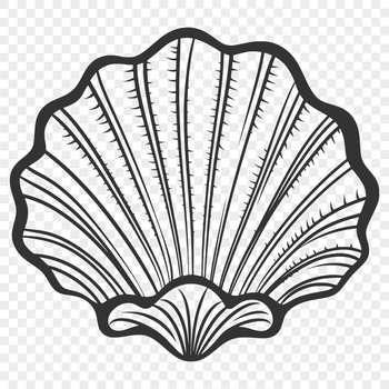 A stylized illustration of a seashell, suitable for decorative purposes.