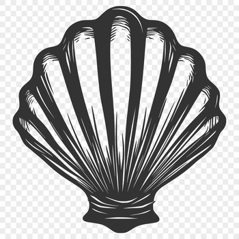Illustrated sea shell design suitable for vector graphics and cutting machines like Cricut.