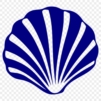 A stylized illustration of a seashell, suitable for vector designs and clip art projects.