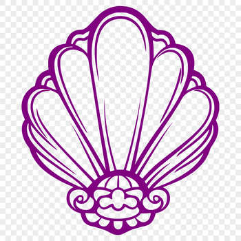 A stylized illustration of a shell found on the seaside.