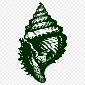 A stylized illustration of a seashell, perfect for creating seaside-themed designs.