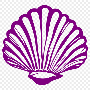 A stylized illustration of a seashell, perfect for designing seaside-themed crafts and decorations.