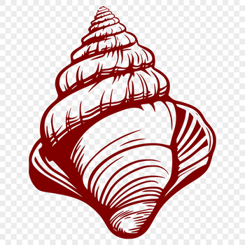 A stylized illustration of a seashell, suitable for vector design and cutting machine applications.