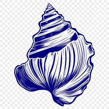 A high-resolution digital illustration of a seashell, suitable for vector art and cutting machine designs.