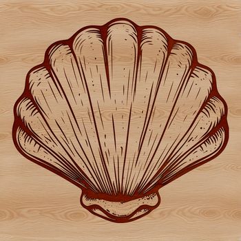 A seashell graphic in SVG format, ideal for cutting machine templates or digital designs.