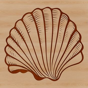 A detailed illustration of a seashell found on the beach during a seaside vacation.