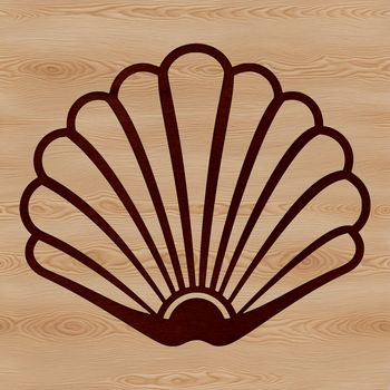 Illustrated seashell vector art, suitable for digital design projects.