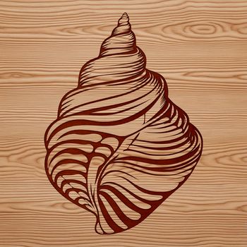 A stylized illustration of a seashell, ideal for seaside-themed projects.