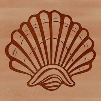 A detailed illustration of a seashell, designed as a vector graphic for various design applications.