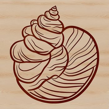 A vector graphic representation of a shell found on the seaside, ideal for use in crafting and design templates.