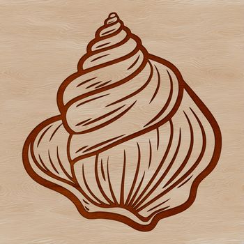 A detailed illustration of a seashell, ideal for crafting or design projects.