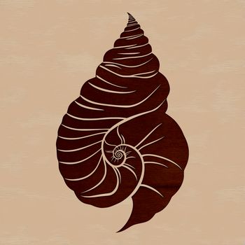A detailed illustration of a seashell with intricate details, suitable for vector art and cutting machine designs.
