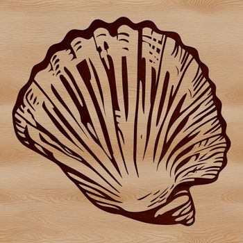 A detailed illustration of a seashell with intricate textures and patterns, ideal for use in vector design projects.