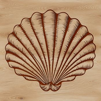 Seashell illustration designed as a vector art for various digital uses.