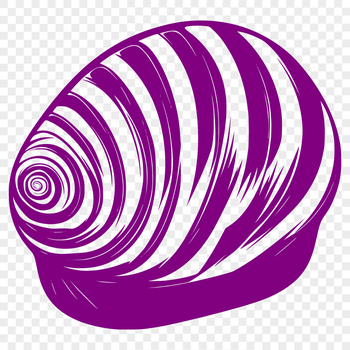 A stylized illustration of a seashell, suitable for use in graphic design projects requiring vector art.