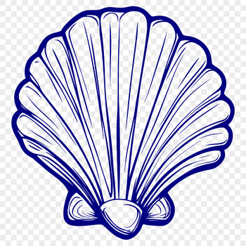 A detailed illustration of a seashell with intricate details.