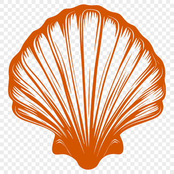 A detailed illustration of a seashell suitable for vector art and design projects.