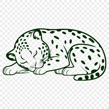 A large feline animal with distinctive spots lies sleeping in the savannah.