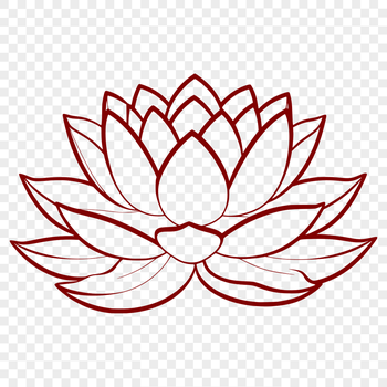 Vector illustration of a lotus flower in various stages of bloom.