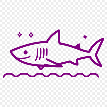 A detailed illustration of a great white shark with sharp teeth and powerful fins.