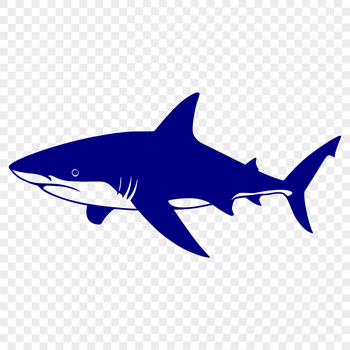 A stylized illustration of a shark in vector format.