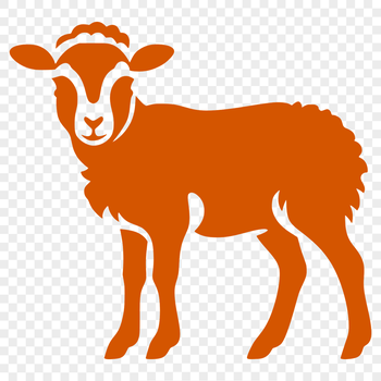A detailed illustration of a sheep from the front, showcasing its full body with realistic features.