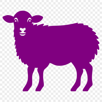A realistic illustration of a farm animal's full body, specifically a sheep.
