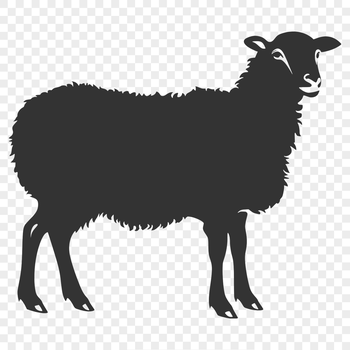 A detailed illustration of a farm animal, showing its full body from head to tail.