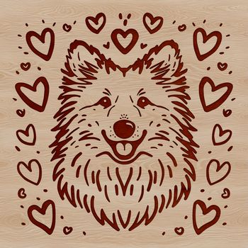 A breed-specific illustration of a Shetland Sheepdog's head, created as vector art.