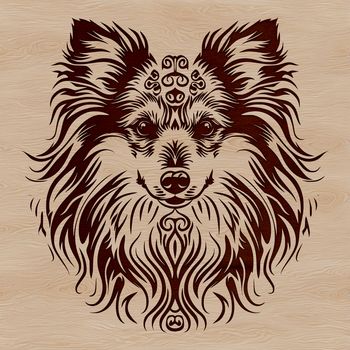 A portrait of a small dog with a distinctive head shape, typical of the Shetland sheepdog breed.