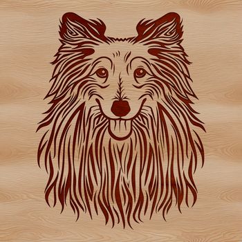 Close-up vector design of a Shetland dog's face.