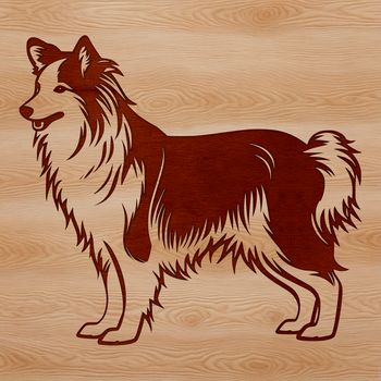 A standing Shetland sheepdog breed with a calm expression, suitable as a pet animal vector graphic.