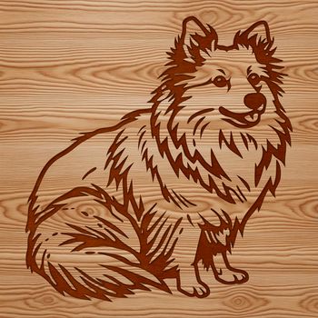 A vector illustration of a seated Shetland sheepdog, a small dog breed known for its distinctive appearance.