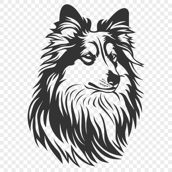 Close-up illustration of a Shetland sheepdog's head, suitable for digital design and printing.
