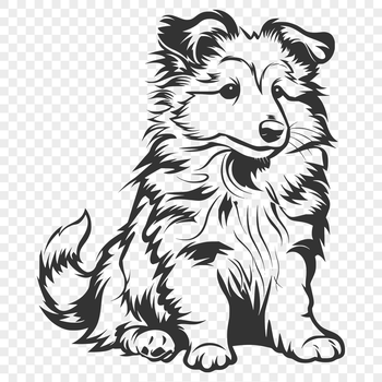 A full-body illustration of a Shetland Sheepdog sitting on its haunches.