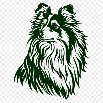 A vector illustration of a Shetland sheepdog's head, suitable for clipping and cutting.