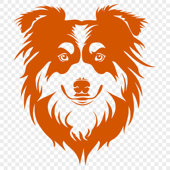 An illustration of a Shetland Sheepdog's head, created as vector art.
