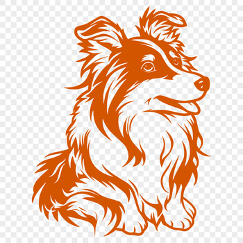 A detailed illustration of a sitting Shetland sheepdog breed in profile view.