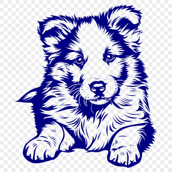 A full body illustration of a Shetland sheepdog in a relaxed pose.