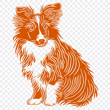 A standing adult Shetland sheepdog with a calm expression.